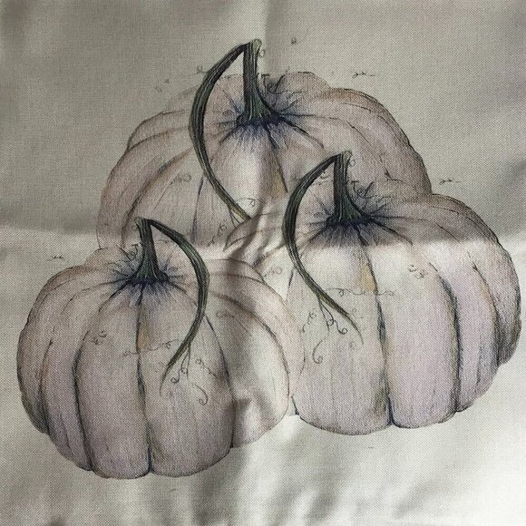 Other - NWOT Pumpkin Fall Thanksgiving Halloween Pillow cover for 16"x16" pillow